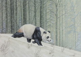 Richard Orr, acrylic, study of a panda in a winter landscape 12 1/2" x 17 1/2" 