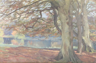 Lionel Birch, oil on canvas, signed, Autumnal scene with lake view 15 1/2" x 23 1/2" 