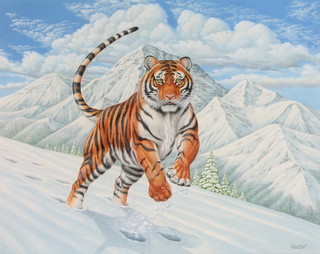 R Orr, gouache, signed, a tiger in a mountainous winter landscape 13" x 17" 