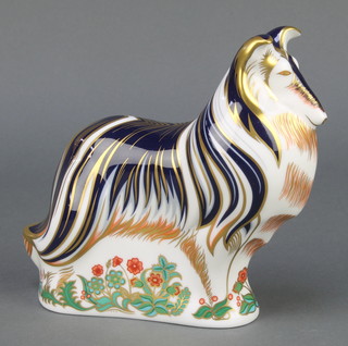 A Royal Crown Derby Imari pattern rough collie paperweight with gold stopper 7" 