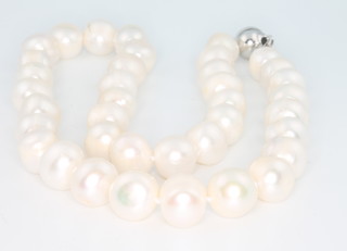 A cultured pearl single strand necklace with silver clasp 