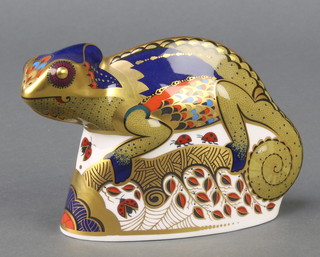 A Royal Crown Derby Imari pattern chameleon paperweight with gold stopper, signed 5 1/2" 