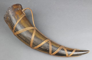 A large horn with basket work mounts 21" 