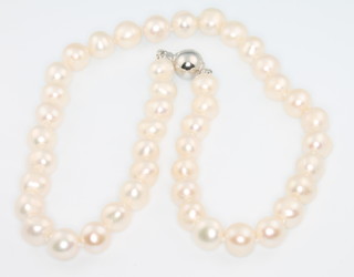A string of cultured pearls with silver barrel clasp 