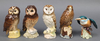 A Beswick Kingfisher 2871 5", a White & McKay Tawny owl 5", do. Barn owl 6 1/2", do. short eared owl 6 1/2" and a Gleneagles buzzard 6 1/2" with contents