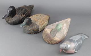 A 19th/20th Century painted wooden duck decoy, 2 other duck decoys and a wooden pigeon decoy 