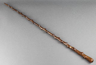 A holly cane with gilt metal band marked HM
