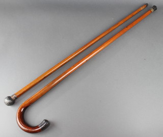 A Malacca walking stick with silver terminal and a ditto cane 