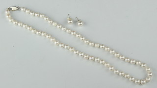 A single strand of cultured pearls 19" and a pair of ensuite ear studs