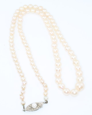 A string of graduated cultured pearls with a 9ct clasp 6" 