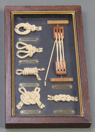 A framed and glazed display of knots 