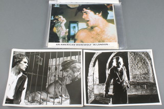 A collection of black and white and colour film lobby cards for Legend of the Werewolf, an American Werewolf in London, The Howling and The Diabolical Dr Death 