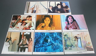 A complete set of 8 lobby cards for Dario Argento's Suspiria 1977