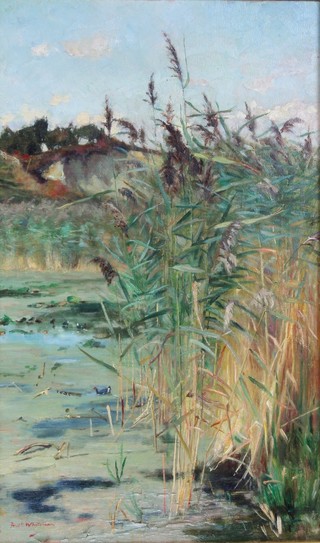 Frederick W N Whitehead, oil on canvas signed, riverscape with birds and bullrushes 15 1/2" x 9 1/2" 