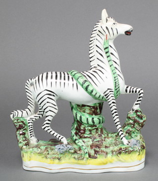 A Victorian Staffordshire figure of a Zebra, its front left leg resting on a rock 10" 