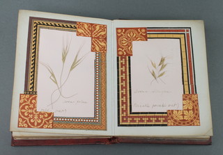 A Victorian album of pressed and dried meadow flowers, the front marked Gramin Aceae 