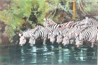 Carrolleannea Carrington, a print, signed in pencil, study of zebras 24" x 34" 