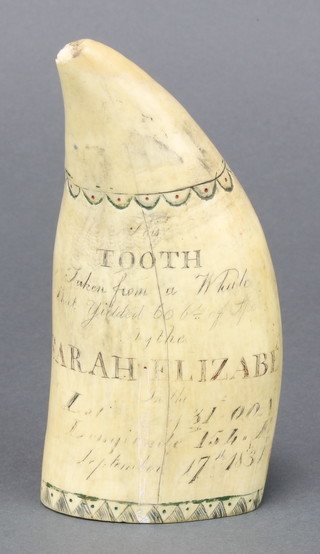 A Victorian whales tooth scrimshaw decorated The Edison Lighthouse, inscribed "Tooth taken from a whale that yielded 60lbs of sperm oil by  Sarah Elizabeth in the latitude of 31 00 N longitude 154 E  Sept 17th 1831" 6"h x 2 1/2"w x 1 1/2"d 