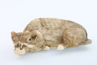  Netsuke, a finely carved ivory netsuke  of a recumbent water buffalo with realistic hair and halter inlaid with dark horn eyes bearing a signature Tomotada  2 1/2"l 