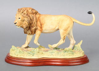 A Border Fine Arts figure - Lion A5047 