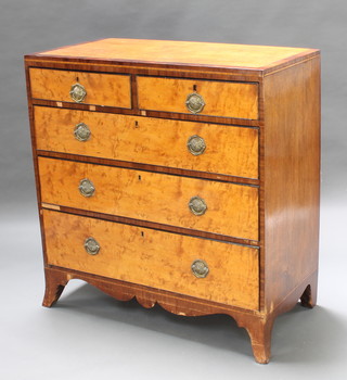 A George III satinwood and crossbanded mahogany chest of 2 short and 3 long graduated drawers, raised on splayed bracket feet 42"h x 39 1/2"w x 19 1/2"d 