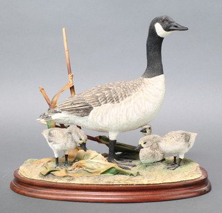 A Border Fine Arts group - Canada Goose and Gosling B0882 by Jack Crewdson 144/500 10", with certificate 
