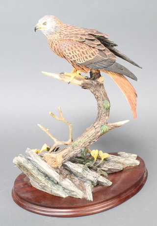 A Border Fine Arts figure - Red Kite B0794 309/600 by R J Roberts 14", with certificate 