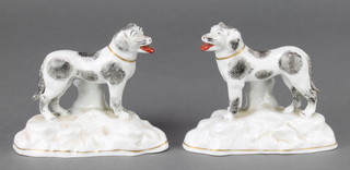 A pair of Chelsea style figures of dogs with protruding tongues 4 3/4" 