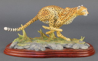 A Border Fine Arts Wild World figure - Cheetah A3780 11"