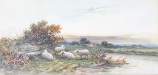 E Lewis, watercolour signed, sheep in a Sussex landscape 10" x 20" 