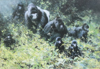 David Shepherd, print, study of gorillas, signed in pencil and inscribed en verso 4" x 5 1/2" 