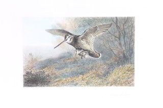 Archibald Thorburn, a print, "Labour of Love" 7" x 11"