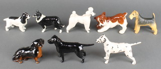 A Beswick figure of a terrier playing with a balll 5", a Beswick figure of a Border Collie with gold back stamp and 6 other Beswick dogs