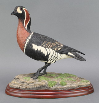 A Border Fine Arts figure of a red breasted goose A2097 by Jack Crewdson 034/500 2002 11"  