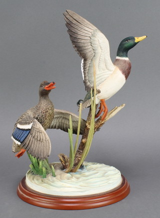 A Border Fine Arts group - Mallards A1391 12" 