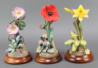 A Heritage Collection group - Poppies and Blackberries 7", a do. Fresh Roses 7" and Daffodils and primrose  7" 