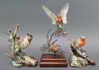 A Coalport group Song Thrush no.620/750 7", do. Robin 117/750 7" and a porcelain figure of a bird landing on a branch 10" 