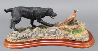 A Border Fine Arts Studio group - Action Dogs A1671 black labrador and pheasants by Margaret Turner on a wooden base 13" 