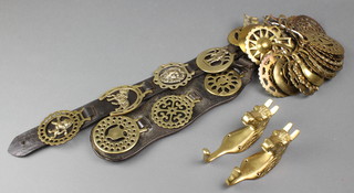 2 leather Martingales hung 8 horse brasses together with 22 horse brasses, a brass letter rack decorated a horse and 2 brass coat hooks in the form of horses heads 