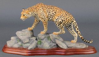 A Border Fine Arts Wild World figure of a leopard A306 13"