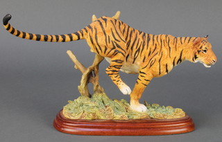 A Border Fine Arts Wild World figure of a tiger A5048 11" 