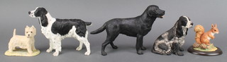 A Border Fine Arts West Highland Terrier 4", do. Cocker Spaniel B0015A 5", a Cocker Spaniel 6", a black Labrador 7" and red squirrel 3" 
