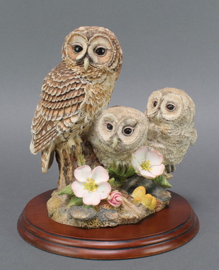 A Border Fine Arts group of owls by Willis 2002 8" 