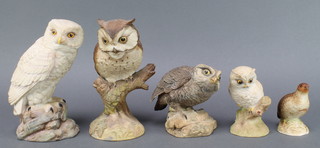 5 Aynsley figures - Snowy Owl 1975 7", Scops Owl  1975 8", Little Owl 1975 4 1/2", Baby Owl 1975 4" all by John Aynsley  and Partridge 3 1/2" 
