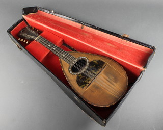 Domenico Zanoni, an 8 stringed mandolin complete with fibre carrying case containing various strings