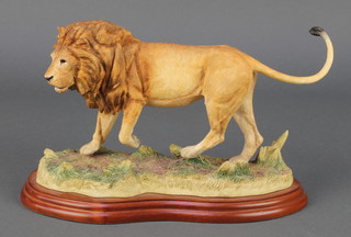 A Border Fine Arts Wild World figure of a lion A5407 9 1/2"