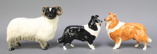A Beswick collie, golden brown and white gloss 6", a do. sheep dog black and white gloss 5 1/2" and a figure of a ram 4 1/2" 