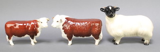 A Beswick figure of a Hereford bull 5 1/2", a do. cow 4 1/2" and a figure of a ram 4"  
