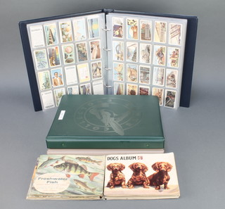 Three Collectors Range albums of cigarette cards including Wills, John Players, Carreras and 2 John Players albums Film Stars, British Freshwater Fish, Senior Service album London and 6 tea card albums 

