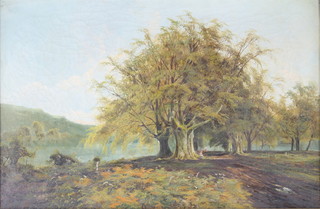 Edwardian oil on canvas, monogrammed, inscribed on verso Beech Trees Blenheim 15" x 23 1/2" 